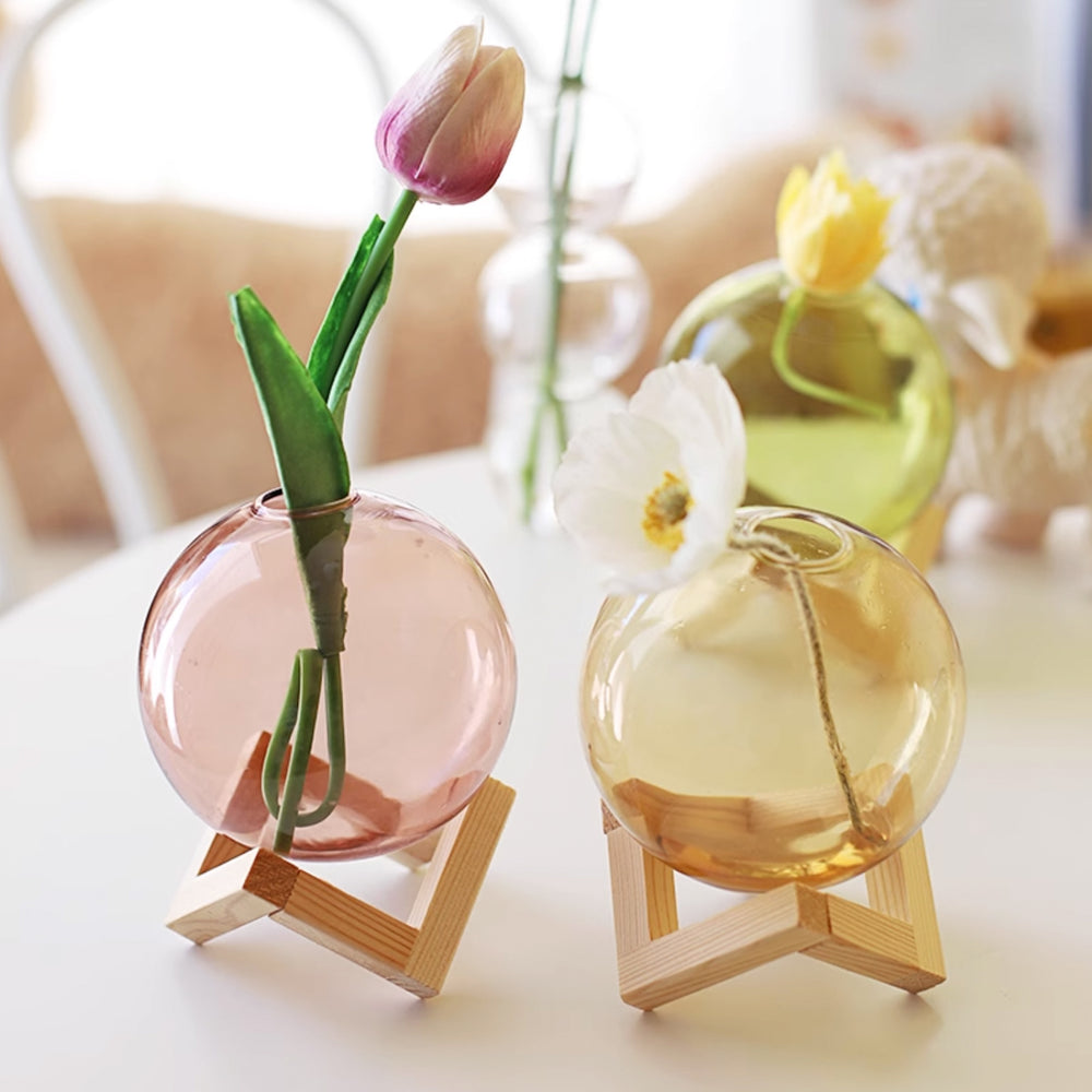 acacia0220230719-2_1000x.jpg?v